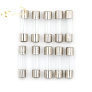 [Han-t] 10pcs Glass Tube Fuse 5mm x 20mm 1.6A T1.6A 250V Slow Blow 1.6Amps well