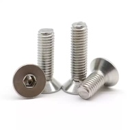 (304 Stainless Steel Countersunk Head Hexagon Socket Screw Flat Head Screw Screw Flat Cup Bolt M20