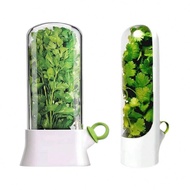 1pc Vegetable Preserver Boxes For Refrigerator,Herb Saver,Herb Keeper Containers,Vegetable Preservat