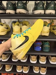 Nike Kobe 4 Protro CHB