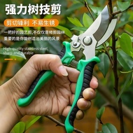 Branch Strong Thick Branch Shears Fruit Tree Shears Household Potted Garden Flower Garden Special Sh