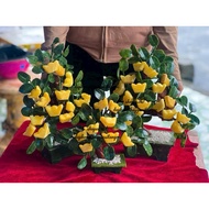 Beautiful product, fortune tree, golden fairy tree, golden dragon, 8 fruit tree
