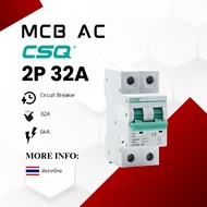 CSQ MCB AC 2P 32A Sent From Bangkok.