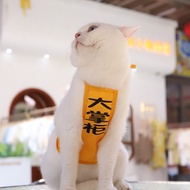 Waterproof and Dirt-Resistant Dog Belly Band, Anti-Cold Puppy Belly Protector, Dog Apron, Cat Belly 