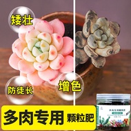 Succulent Compound Granular Fertilizer Color-enhancing Gardening Succulent Release Fertilizer Planti