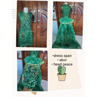 FASHION SHOW COSTUME