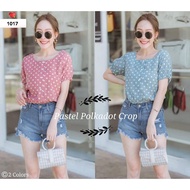 C17 Pastel Polkadot Crop 1017 Women's Clothing Polka Dot Pattern Latest Model