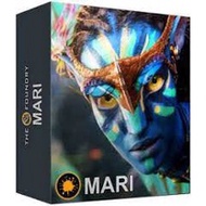 TheFoundryMari Special tools for designs and drawings 3D The Foundry Mari 5.0v2 x64 S0ftware 3D Desi