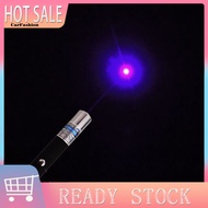 <CarFashion> Pointer Pen Visible Powerful Portable Purple Blue Beam Light Pointer Pen for Home