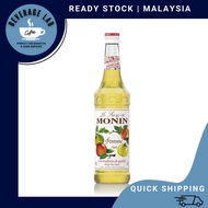 BEVERAGE LAB MONIN Premium Syrup Apple (700ml)