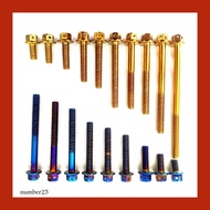 (1 Pcs) Screw M6 Titanium Gold & Titanium Blue