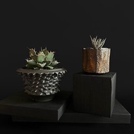 FLYER黑色實木 潮流塊根植物展示架 香爐底座家居裝飾擺件