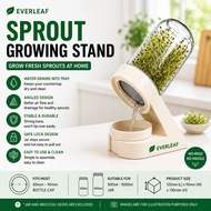 Sprouting Kit | Broccoli Sprout Growing Stand
