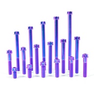 RTAMO Titanium Gr5 M8x15-120L 13D CNC Flower Head T40 Torx Spanner Fit Engine Bolt