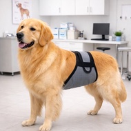 Adjustable Dog Washable Male Dog for Home Outdoor Use , Belly For Dog Dog Diaper Cloth