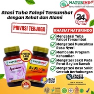 Obat Herbal Tuba Falopi Tersumbat Obat Penyumbatan Tuba Falopi Kanan