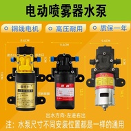 Agricultural Electric Sprayer Water Pump 12V Sprayer Accessories Daquan Diaphragm Pump Sprayer High 