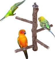 PCTYL36665 bird bath for cage Parakeet Toys Bird Cage Accessories Natural Wood Bird Perch Bird Toys Bird Perch