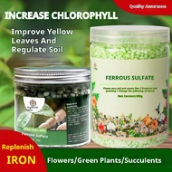 硫酸亚铁Home Gardening Ferrous Sulfate Water-Soluble Acidic Fertilizer Yellow Leaf Universal Type Garden