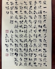 般若波羅蜜心經 書法手稿 鳥蟲篆字體