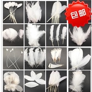 Ready Stock spotDIY accessory feather 26 diy Jewelry Accessories White Feather Turkey Feather Goose 