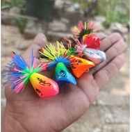 Jaws frog mini jaws frog upluk upluk jaws 2.5 cm