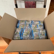 Wholesale 1 Box of Fragrant Northern Coconut Jelly Gon Zon Zai, 1 box of 12 bags each, 20 packs x 24