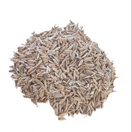Cumin cumin/