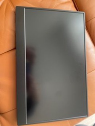 Portable monitor