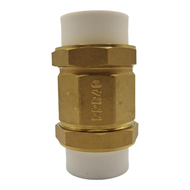 Bronze PPR Check Valve Horizontal Vertical Single Direction Valve for Water Pipe Fittings Pe Check V