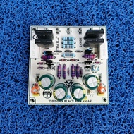 High Quality FLAT Tbm 2 Ohm Power Amplifier Driver Kit Original