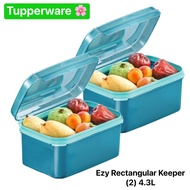 Tupperware Ezy Rectangular Keeper (1 Piece) Fruit Box