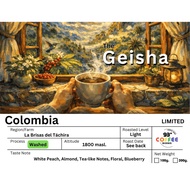 The Geisha By 93 Degree Coffee เมล็ดกาแฟคั่ว สายพันธุ์เกอิชา หลากหลายแหล่ง