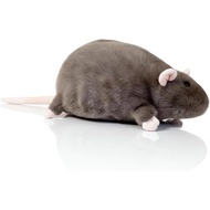 2026 Boneka Tikus Chonky Baru, Mainan Haiwan Boneka Tikus Realistik, Boneka Tikus Bersaiz Besar, Mod