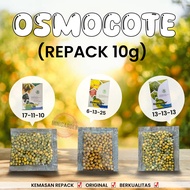 PUPUK Dekastar Plus 10 GRAM Repacking OSMOCOTE