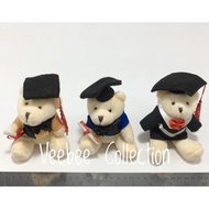 Boneka wisuda / boneka bear wisuda /gantungan boneka