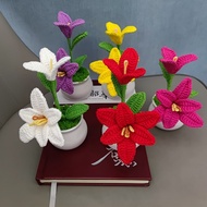 MZB 1 Piece Finished Product Crochet Lily Small Potted Plant Pure Hand-Knitted Wool Flower Potted Pl