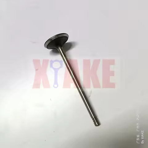 Car Engine Valve for Zhongxing Terralord 2.5L JE4D25
