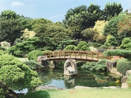 彰化｜秋賞．菁芳園～落羽松．紅樹林/濕地～芳苑海空步道．王功海鮮．鹿港老街．成美文化園區二日｜高雄台南