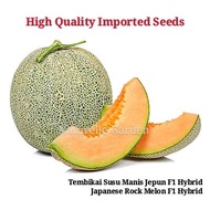 Biji Benih Tembikai Susu Manis Jepun F1 Hybrid Japanese Netted Rock Melon Seeds ( 3 seeds per pack ) 日本网纹密瓜皇种子