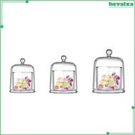 [Hevalxa] Glass Cloche Dome Transparent for Fairy Lights Model Figurines Collectibles