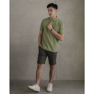 AKITA POLO SHIRT - Men's Polo SHIRT in Sage Green