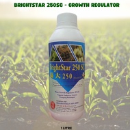 BRIGHTONMAX - BRIGHTSTAR 250 SC - GROWTH REGULATOR - 1 LITRE