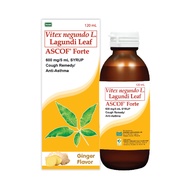Ascof Forte Vitex negundo L. Lagundi Leaf 600mg/5mL 120mL Syrup Ginger Flavor