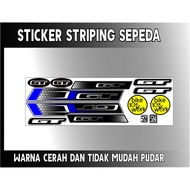 GT VARIATION BIKE STICKER