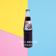 MINUMAN CAP BADAK SARSAPARILLA SARSAPILLA ASLI MEDAN 285ml