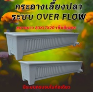 กระถางเลี้ยงปลา overflow ท่อสีขาว สามารถปรับระดับน้ำตามที่ต้องการได้ กะบะเลี้ยงปลา อ่างเลี้ยงปลา อ่า
