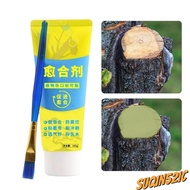 SUQIN52IC Tree Wound Sealant, Tree Repair 100g Grafting Tree Sealer,  Smear Agent with Brush Plant R