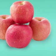 buah apel fuji 1kg segar
