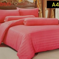 🎈🎈SET CADAR AI ZHUO PLAIN